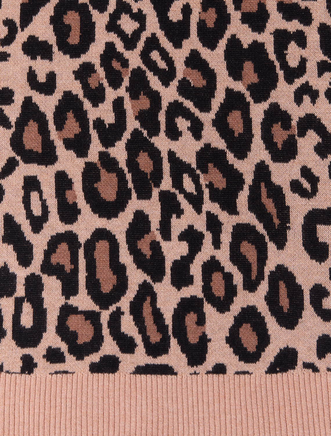 CAMEL MULTI